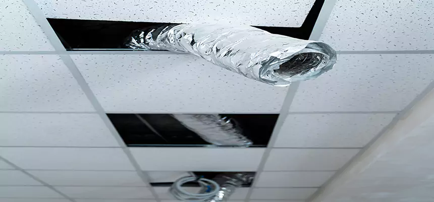 Our Air Duct Pet Hair Removal Services in Coconut Creek, FL